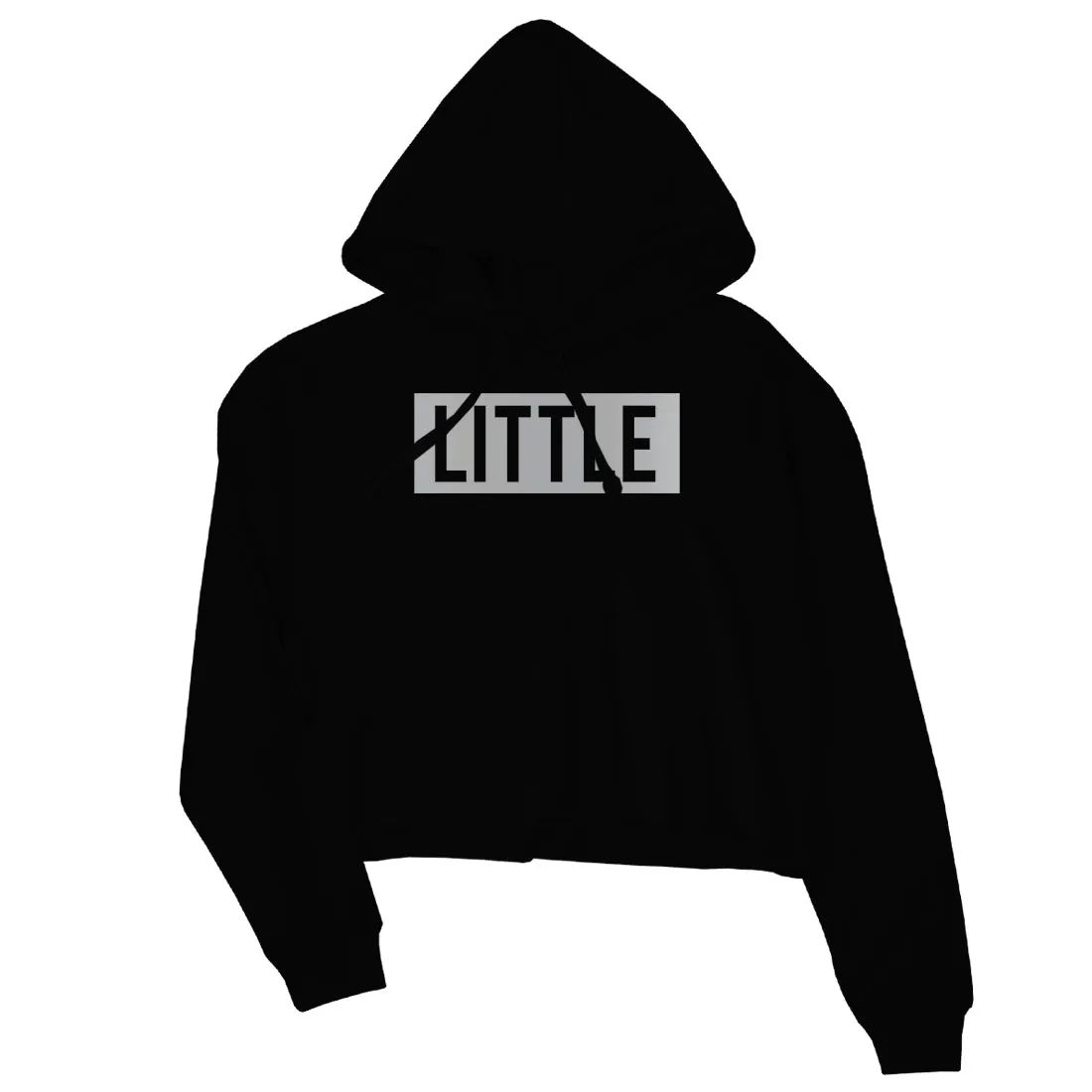 Big Little Boxed-SILVER Womens Crop Hoodie Wholesome Amazing Gift