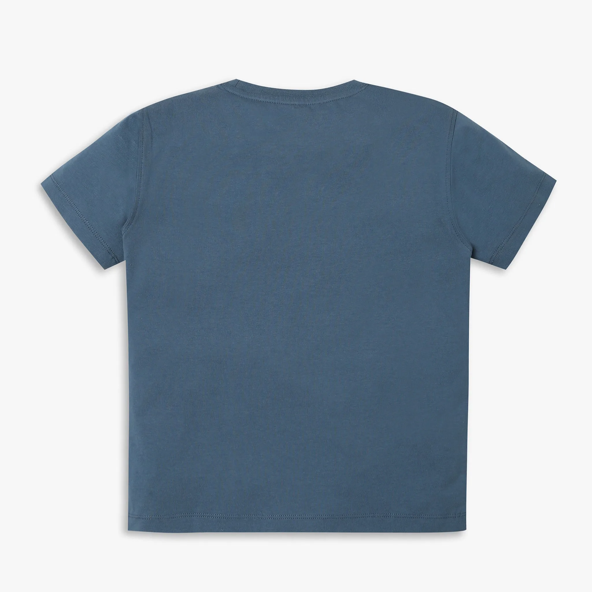 Boys Regular Fit Solid T-Shirt